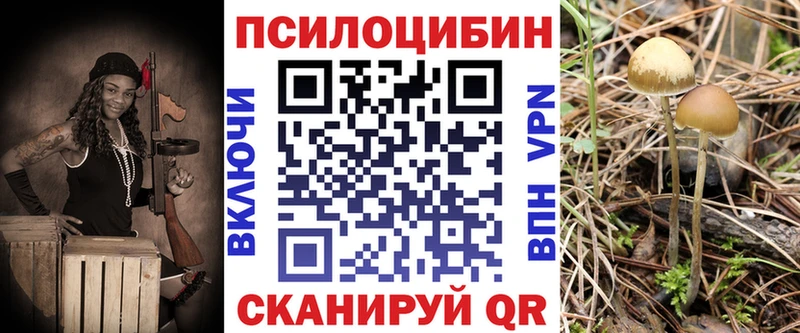 где можно купить   Фёдоровский  Псилоцибиновые грибы MAGIC MUSHROOMS 