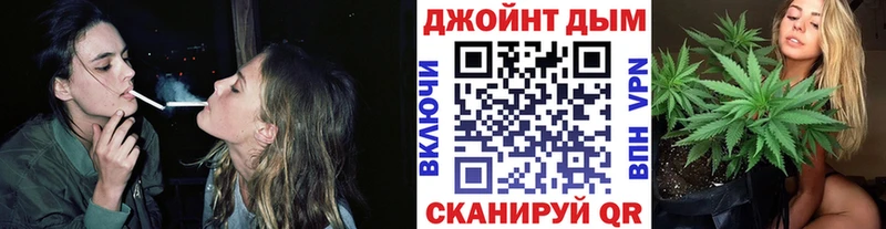 Каннабис гибрид  Фёдоровский 